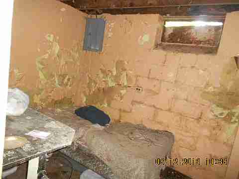 18961 Joann (29)_m.jpg